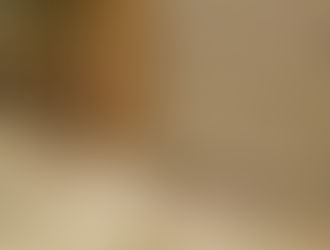 Tour of the school building progress 