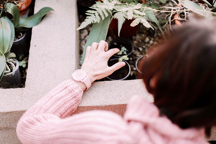 Planting