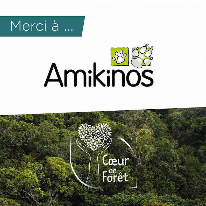 Amikinos Reverse 1 De Son Chiffre D Affaires Au Projet Bolivie Amikinos Reverse 1 De Son Chiffre D Affaires Au Projet Bolivie