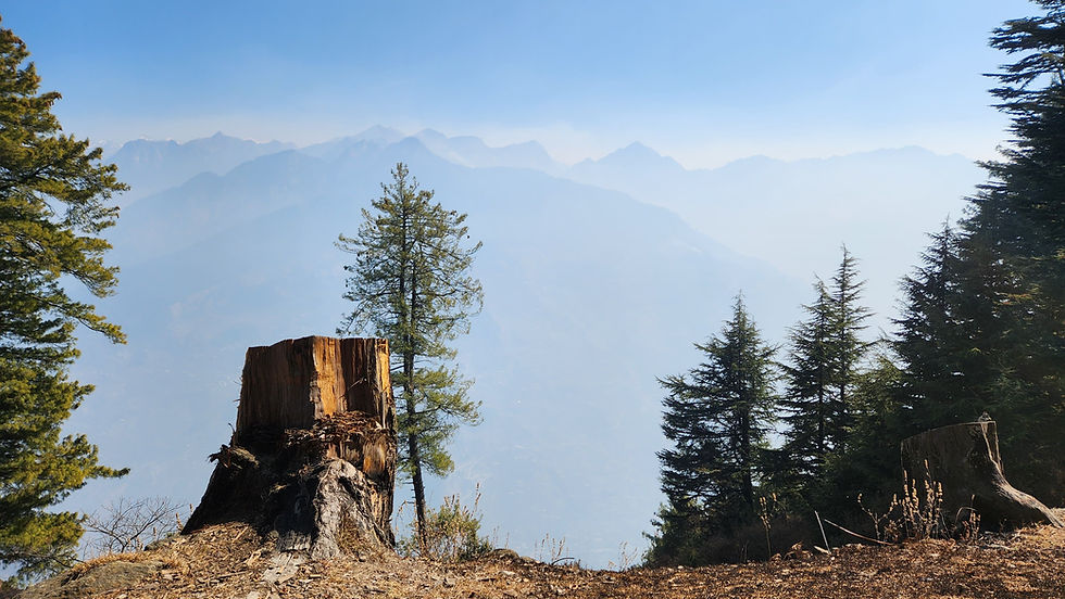 WhatsApp Image 2024-01-24 at 20.05.33.jpeg