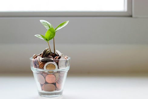 Growing a plant from a glass of coins.