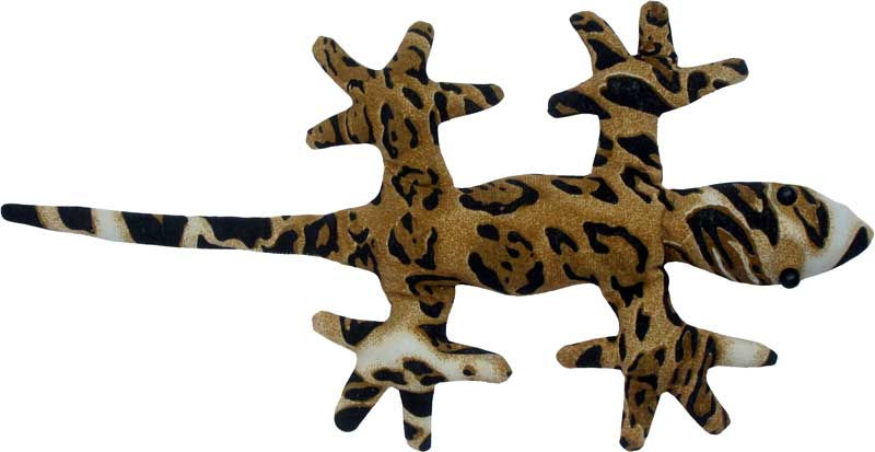 Gecko Sand Animal