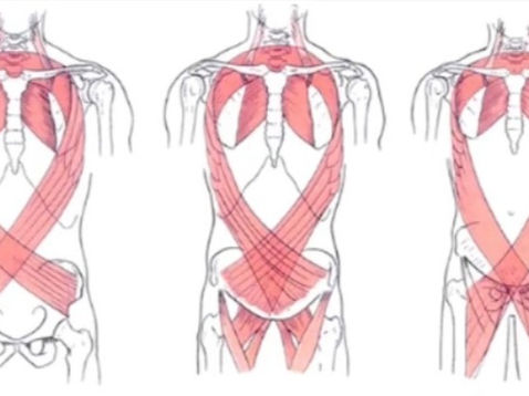 Your low back pain might not be coming from your low back! 