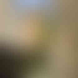 View of a street in Old Town of San Sebastian, Spain