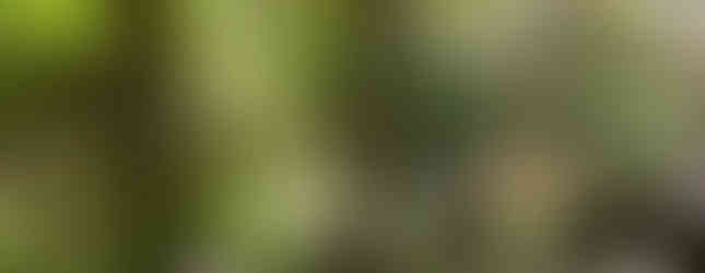 Outdoor dining in Sena Plaza in Santa Fe New Mexico