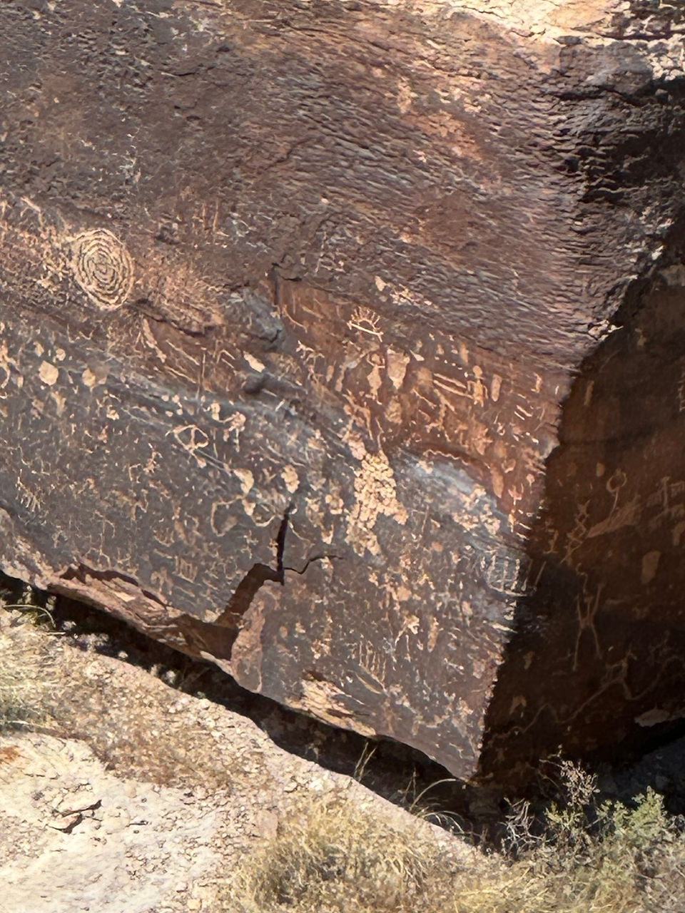 The petrogylyphs on Newspaper Rock in Arizon's Petrified Forest National Park