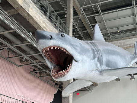 Mechanical shark from the movie Jaws on display at the Academy of Motion Pictures Museum