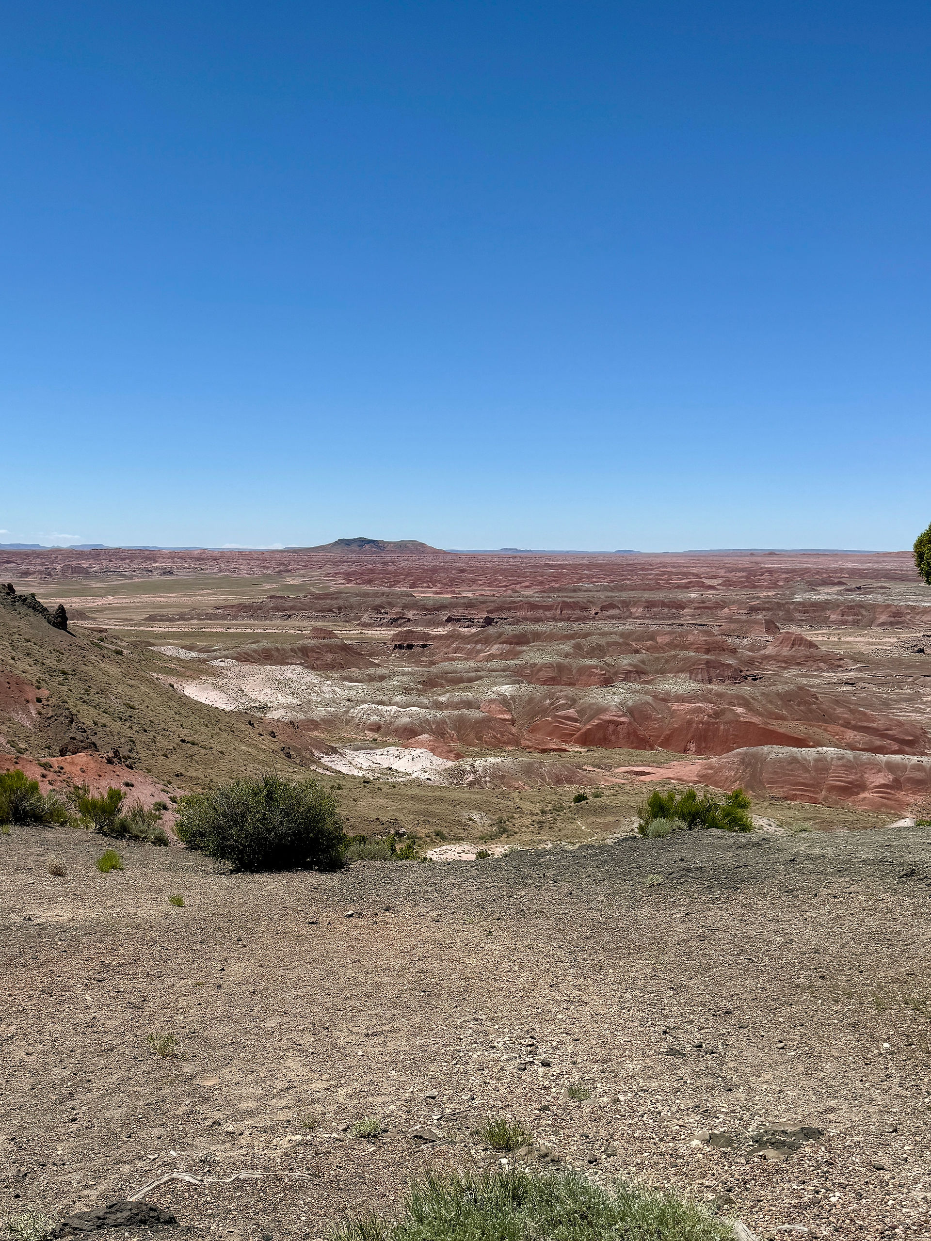 Painted Desert, Ariz