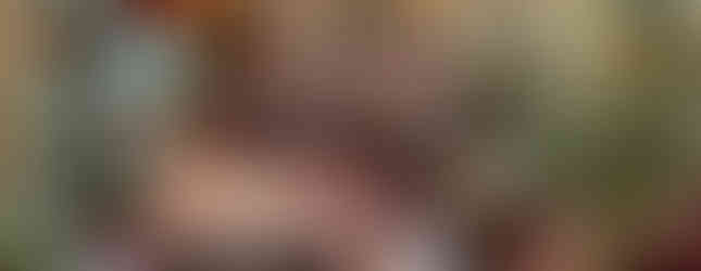 La Plazuela restaurant in the La Fonda on the Plaza Hotel in Santa Fe, New Mexico