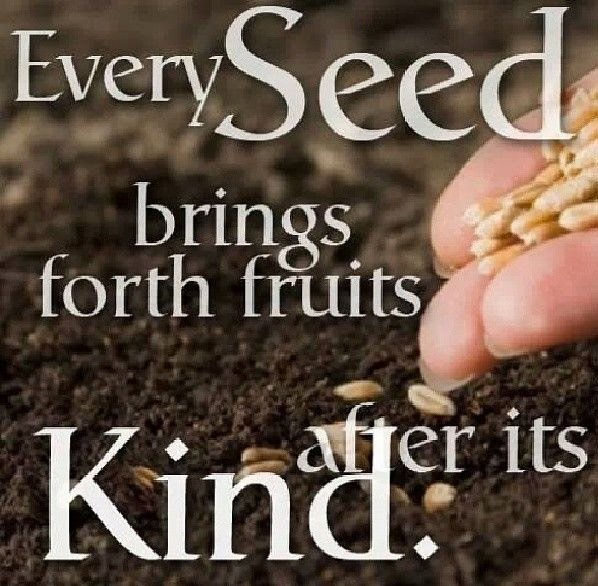 Genesis 1:11-12
