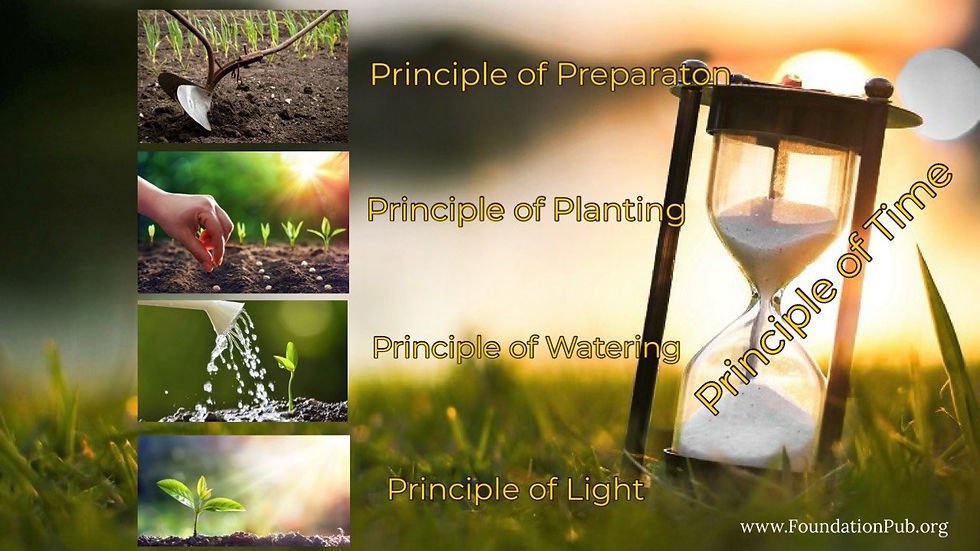 Preparation, planting, watering, light and time