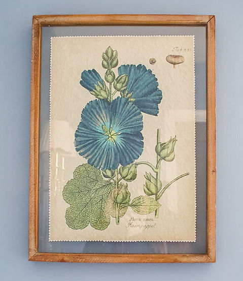 interior designers maryland