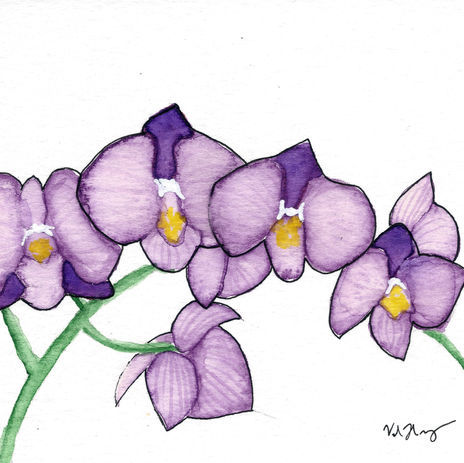purple orchid.jpeg
