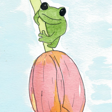 frog.jpeg