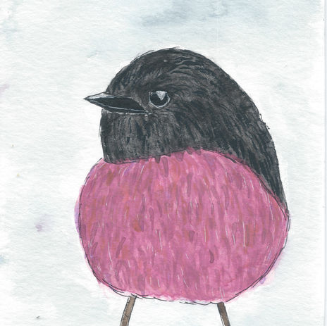 pinkbird.jpeg