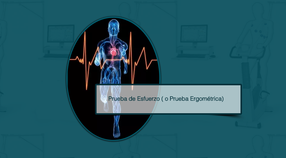 Prueba de Esfuerzo Nelson Cano