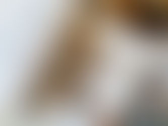 Wat te doen in Tokyo: mijn persoonlijke tips & hotspots