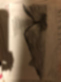 IMG_0336.jpeg