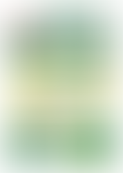 都議会レポート17号です！