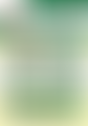 都議会レポートNO.14を発行しました！