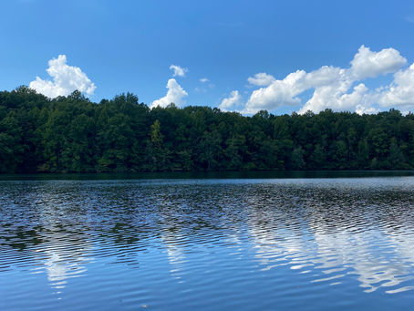 Overlooking the lake at Andrew Jackson State Park