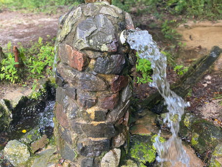 State Park Passport: Aiken State Park