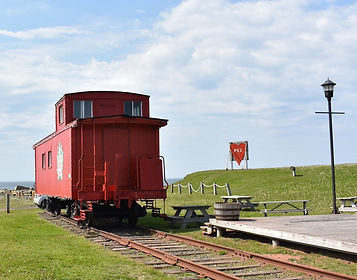 DSC_0345_edited.jpg