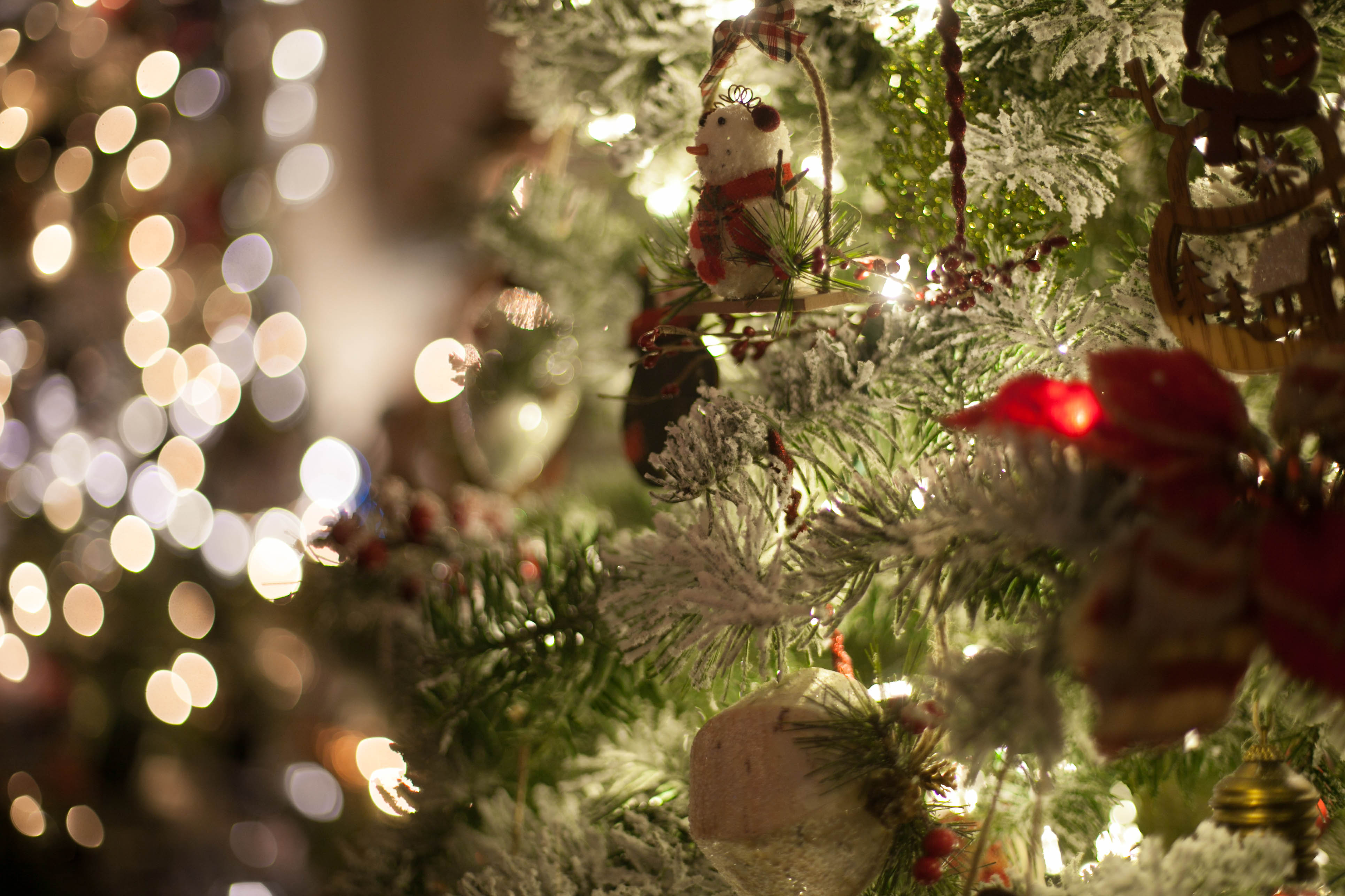 29th Annual Festival Of Trees Gala
