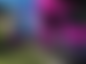 AC Not Blowing Air? Carrollton Homeowners’ Guide to Getting Cool Again