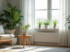 Innovative Indoor Air Quality Solutions for Homes