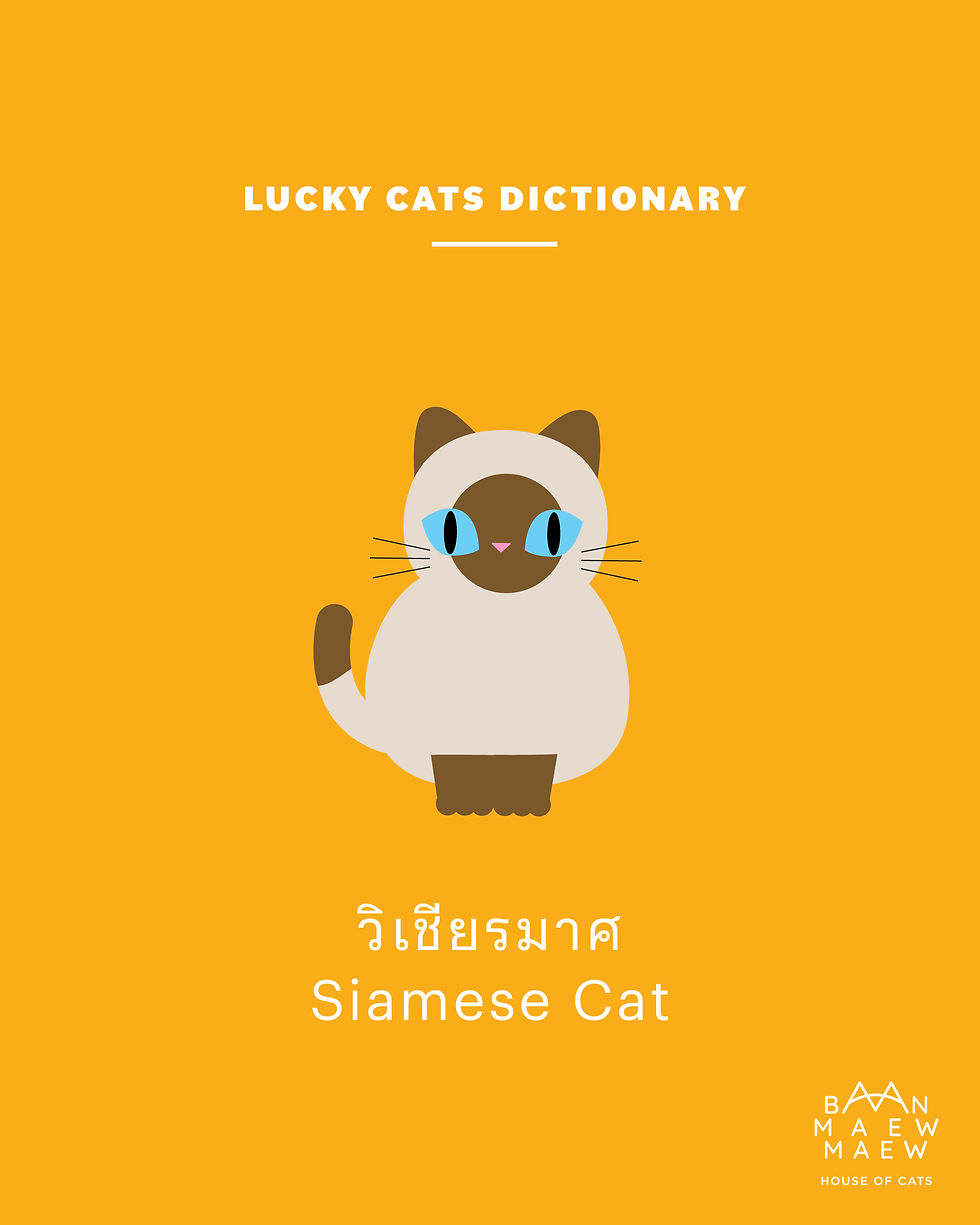 Thai Lucky Cat#1: The Siamese Cat
