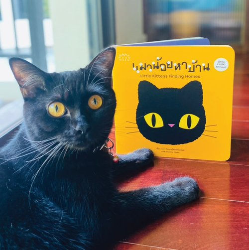 Thumbnail: Little Kittens Finding Homes : Bilingual Thai cat children's book