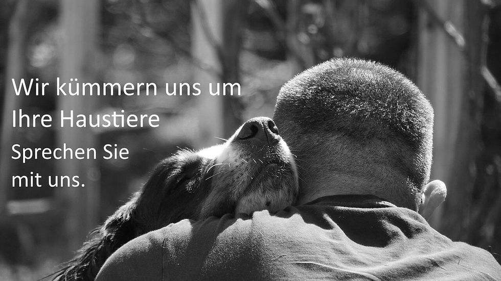 Hund mit Mensch im Arm