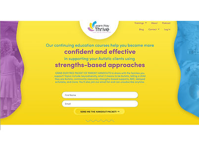 Screenshot 2025-04-17 at 2.13_edited.jpg