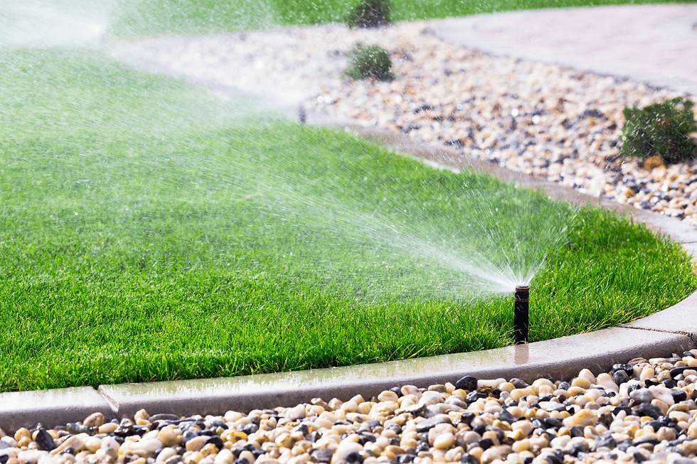 Lawn irrigation and watering guidance for healthy grass