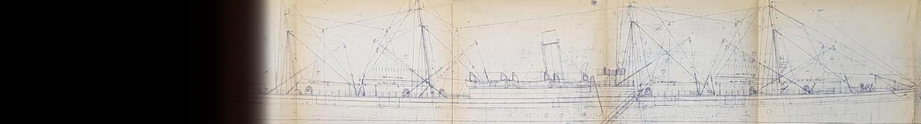 Header Background_edited.jpg