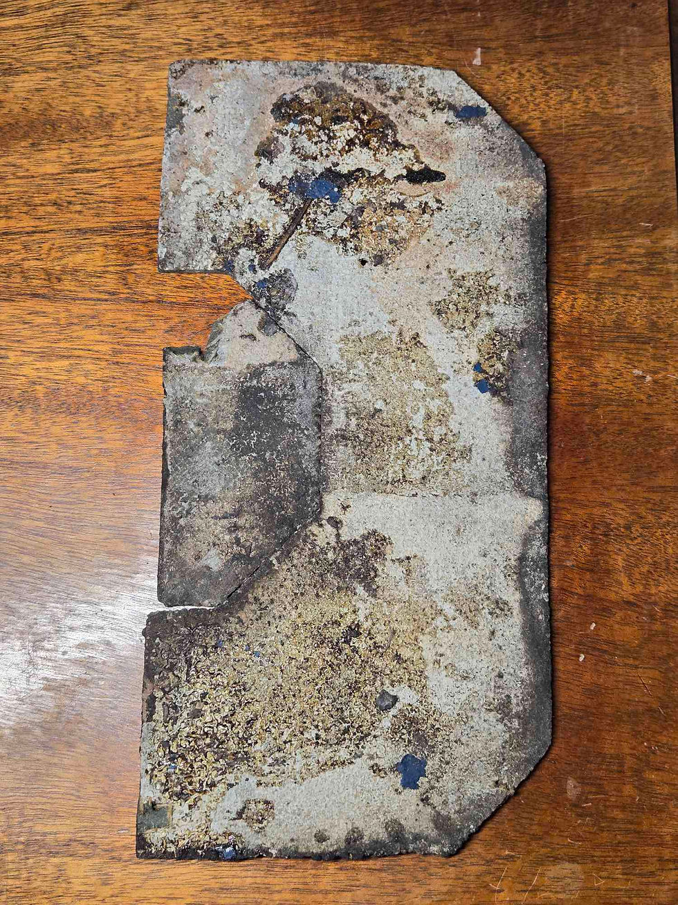 Section B Bottom