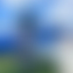 Persistence Pays Off - EAA Article Written by Jim Roberts