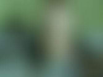 HAYAT O KADAR ACELEYE GELMEZ