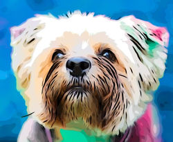 321891903_1137607976955842_1513511801797279880_n