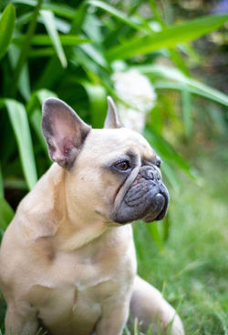 324069472_509359494595711_6468927964622521634_n copy