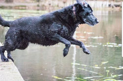 324394498_938224790920778_6832486725071207432_n