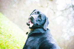 324330178_1059824592077401_4383483518885984171_n