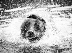 323584575_715475009927070_3046355680692996395_n