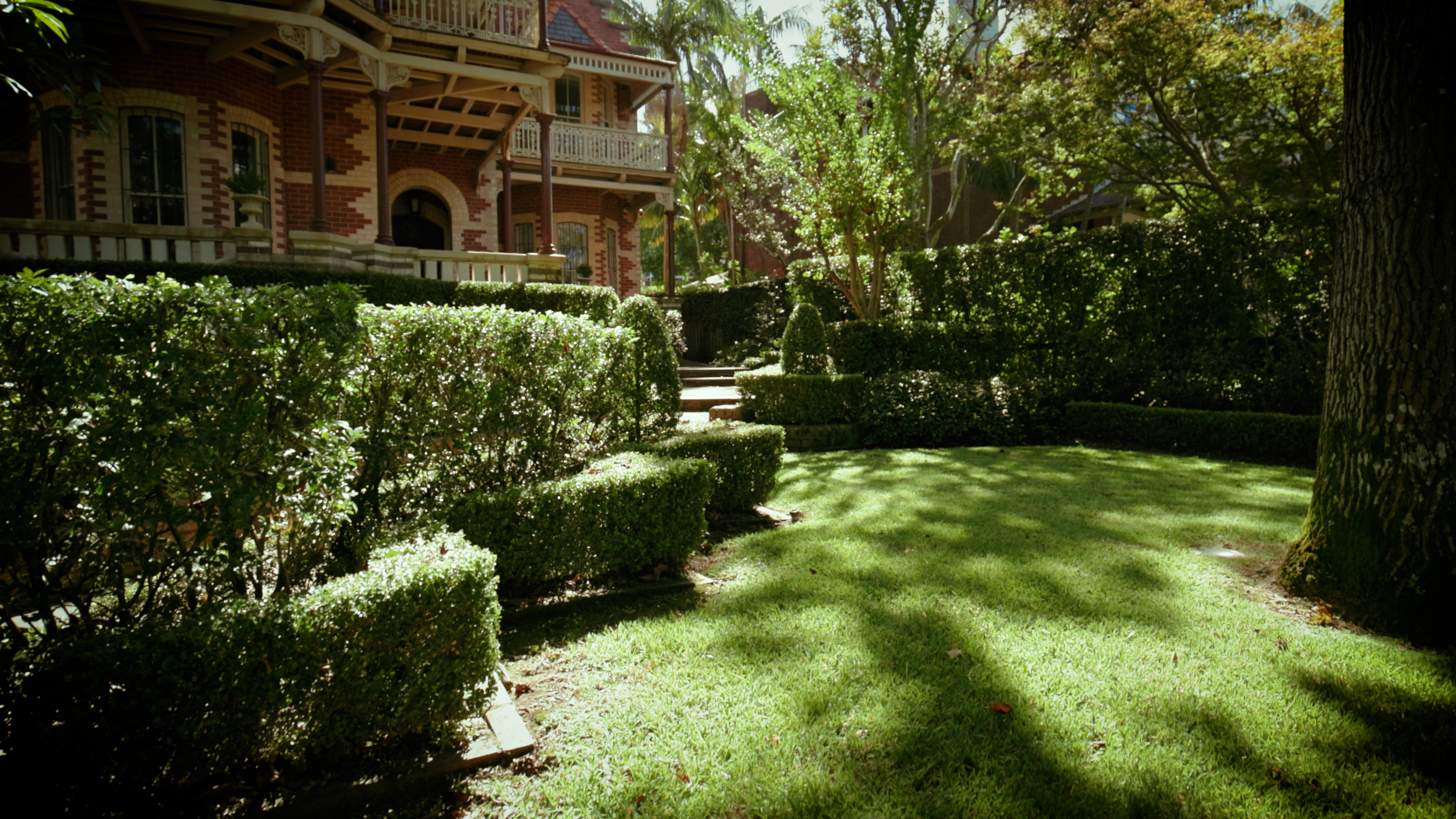 Completed garden and landscaping project by Grouse Gardens in Sydney's Eastern Suburbs