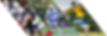 Untitled design (11).png