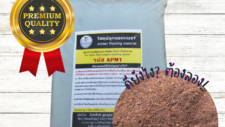 ดิน วัสดุปลูกชนิดดูดซับน้ำหมัก Soil APM1