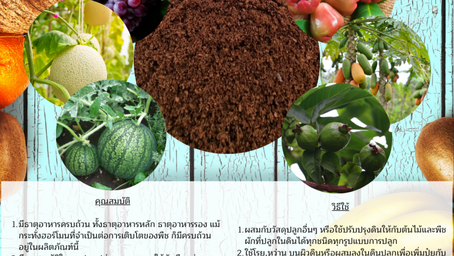 ปุ๋ยน้ำหมักอินทรีย์เคมี ชนิดผง สูตร เร่งการเจริญเติบโต P-OCG