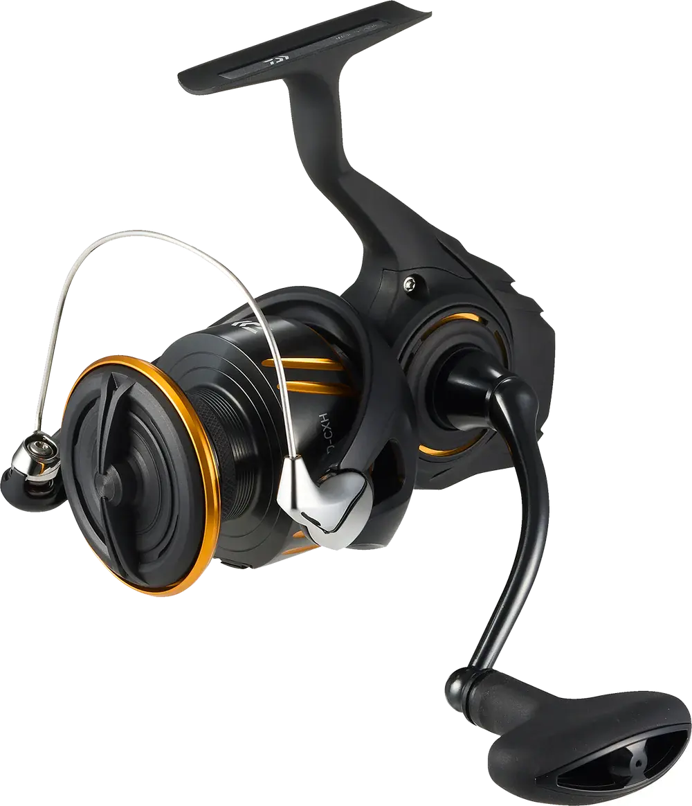 Daiwa BG LT Spinning Reel