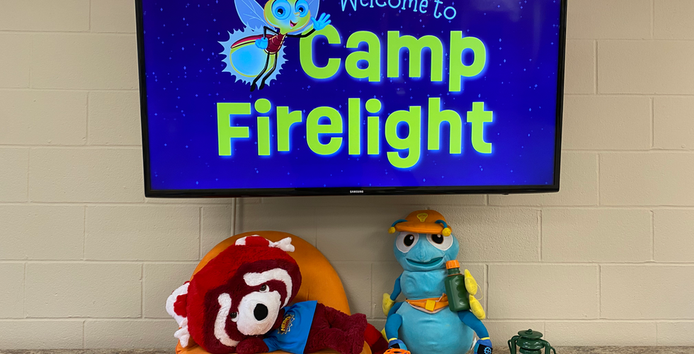 A TV screen with the words "welcome to Camp Firelight" on top of a starry scene. Below the TV is a stuffed animal ant and red panda with camping supplies surrounding them.